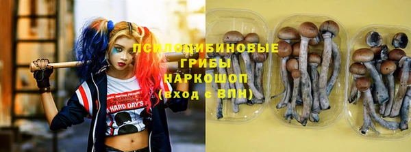 стаф Верхний Тагил