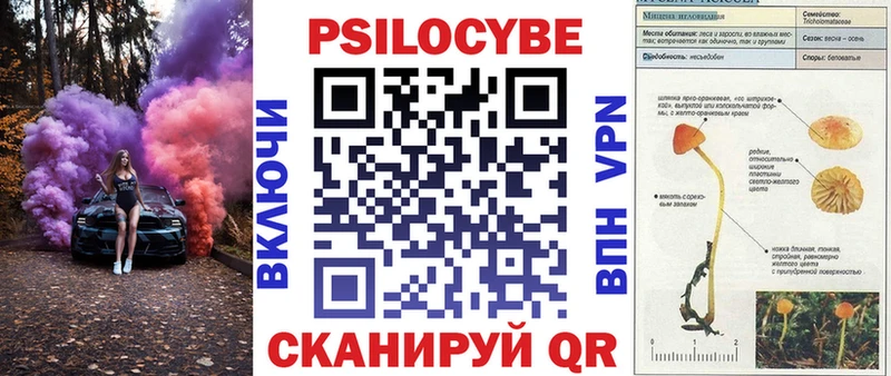 Псилоцибиновые грибы Magic Shrooms  Велиж 