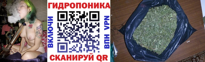 Конопля план где найти наркотики Велиж